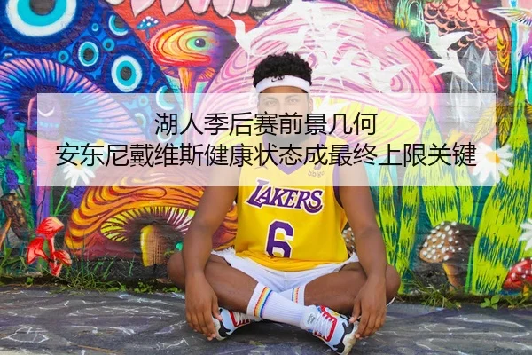 湖人季后赛前景几何 安东尼戴维斯健康状态成最终上限关键 - leyu