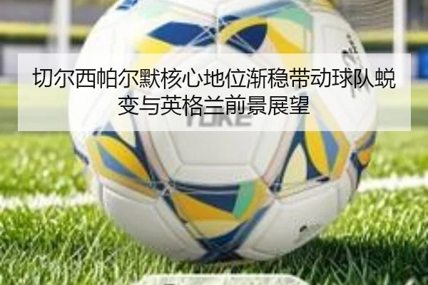 切尔西帕尔默核心地位渐稳带动球队蜕变与英格兰前景展望 - leyu