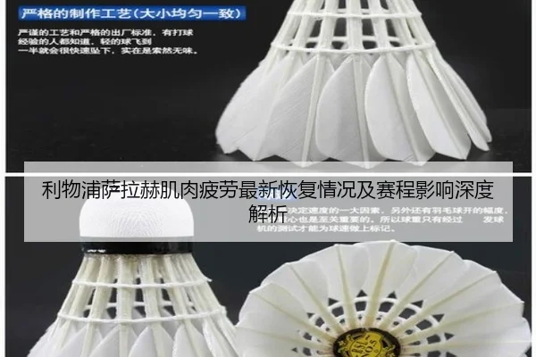 利物浦萨拉赫肌肉疲劳最新恢复情况及赛程影响深度解析 - leyu